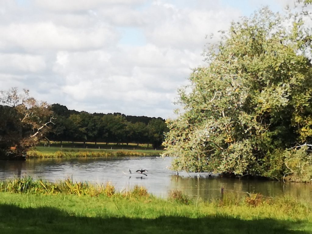 Rondje Vilsteren - Salland Rondje Vilsteren - Salland