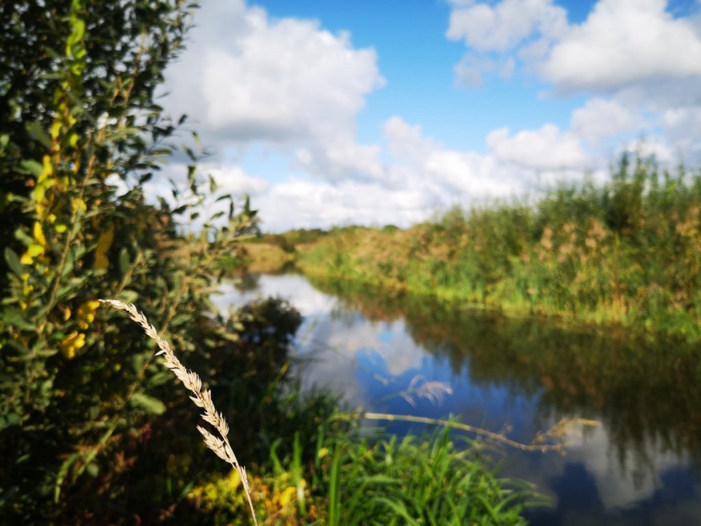De Vecht - Wandeling rondom Vilsteren