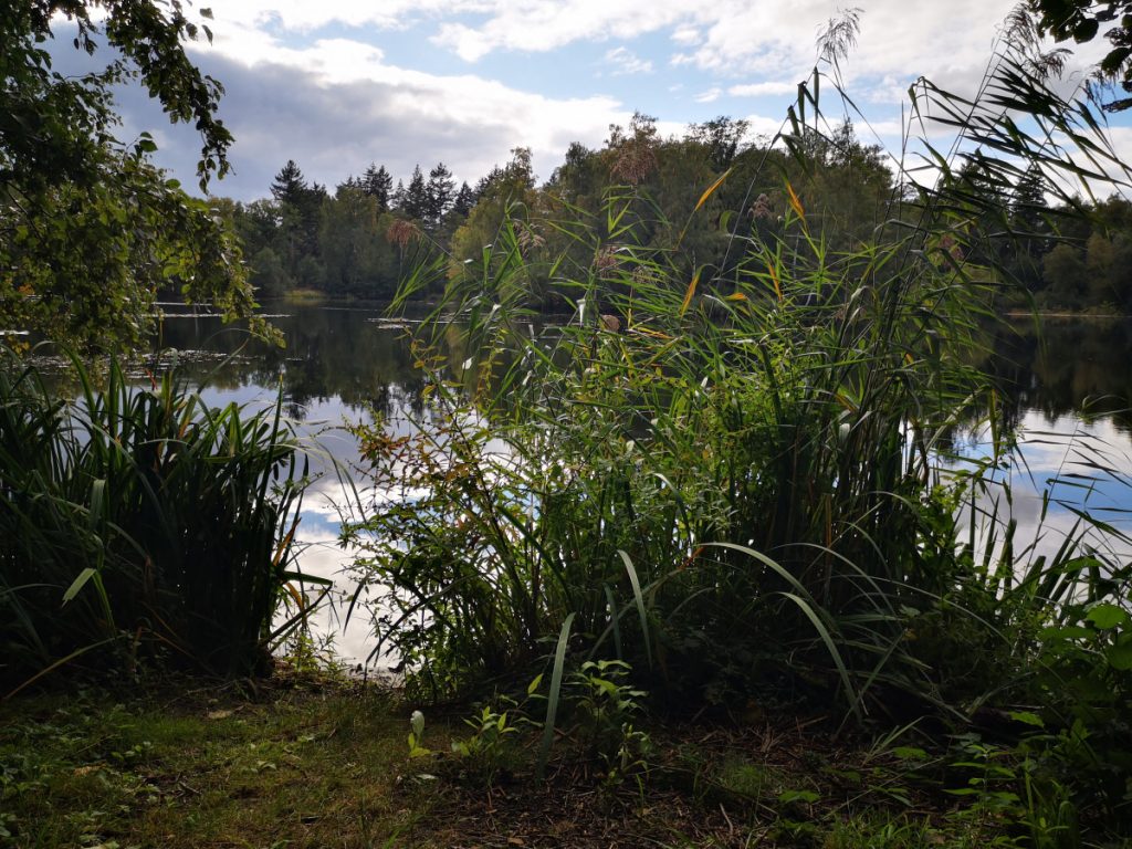 Tweede meer, Rondje Vilsteren