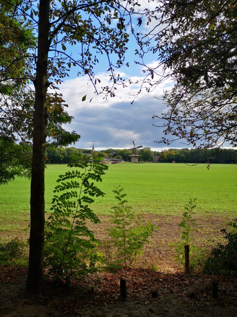 Uitzicht op Vilsteren tijdens Rondje Vilsteren - Salland
