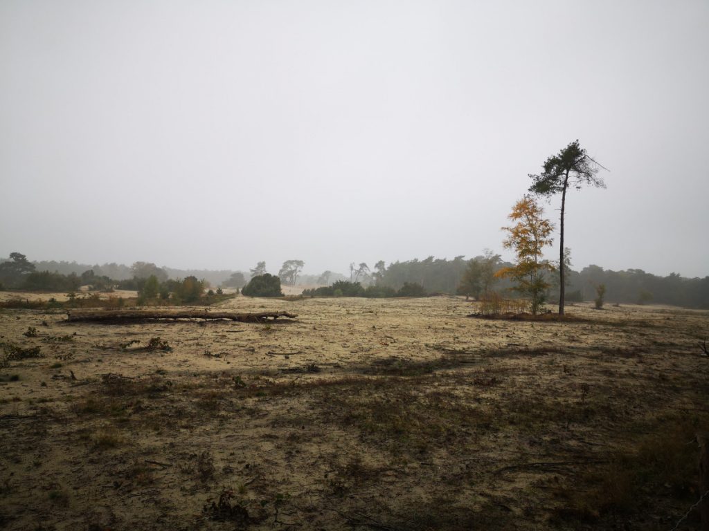 Wandelen in het Vechtdal - etappe 1 Mariënberg - Ommen