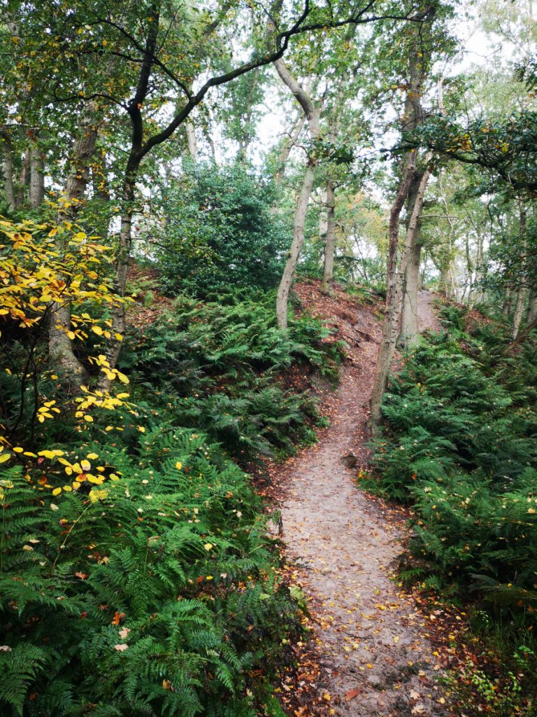 Mooiste stuk etappe 1 Wandelen in het Vechtdal Mooiste stuk etappe 1 Wandelen in het Vechtdal
