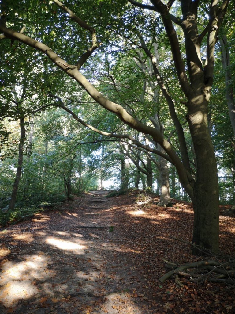 Landgoed Vilsteren - Wandelen in het Vechtdal