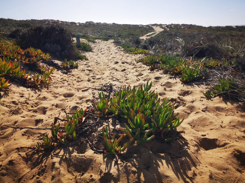 Wandelen langs de Atlantische Oceaan op de Fishermen's Trail - Portugal Wandelen langs de Atlantische Oceaan op de Fishermen's Trail - Portugal