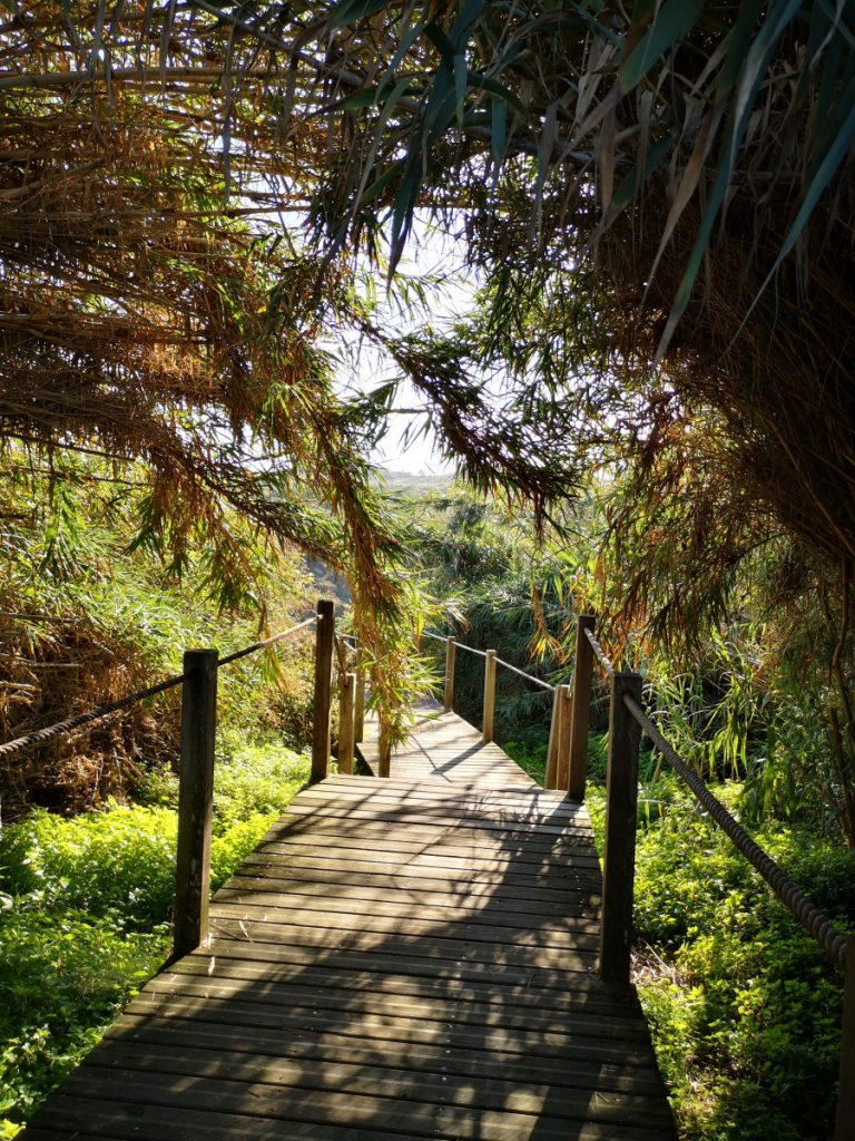 Etappe 5 - Ambujeira do Mar naar Odeceixe - 18,5 km - Wandelen langs de Atlantische Oceaan Etappe 5 - Ambujeira do Mar naar Odeceixe - 18,5 km - Wandelen langs de Atlantische Oceaan