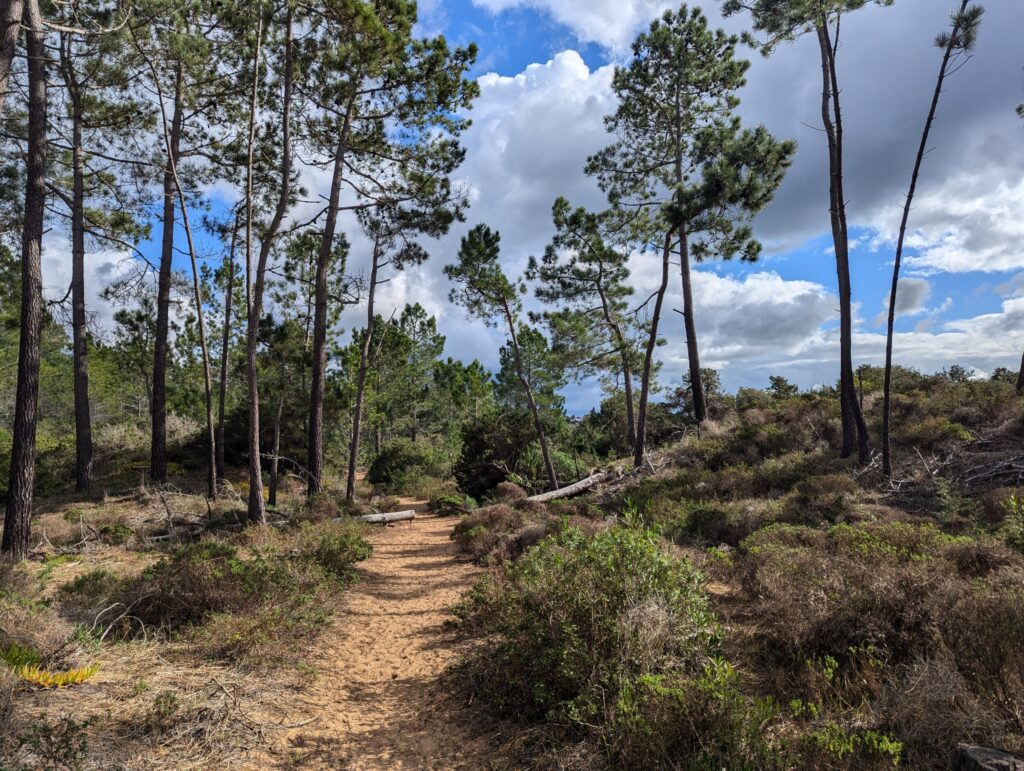 Aljezur naar Arrifana - wandelen op de Fishermen's Trail - Portugal Aljezur naar Arrifana - wandelen op de Fishermen's Trail - Portugal