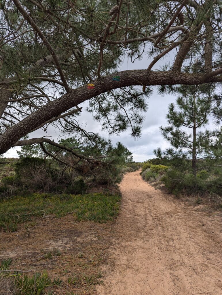 Arrifana naar Carrapateira - Fishermen's Trail, Portugal Arrifana naar Carrapateira - Fishermen's Trail Portugal