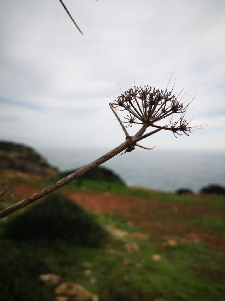 De Fishermen's Trail - Wandelen langs de kust in Portugal - Deel 2 De Fishermen's Trail - Wandelen langs de kust in Portugal - Deel 2