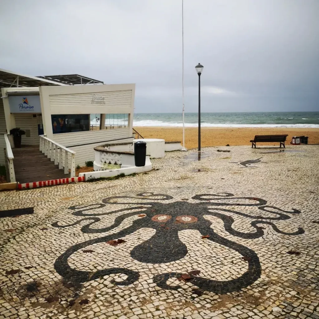 Octopus in de boulevard gelegd van Luz - Fishermen's Trail Octopus in de boulevard gelegd van Luz - Fishermen's Trail