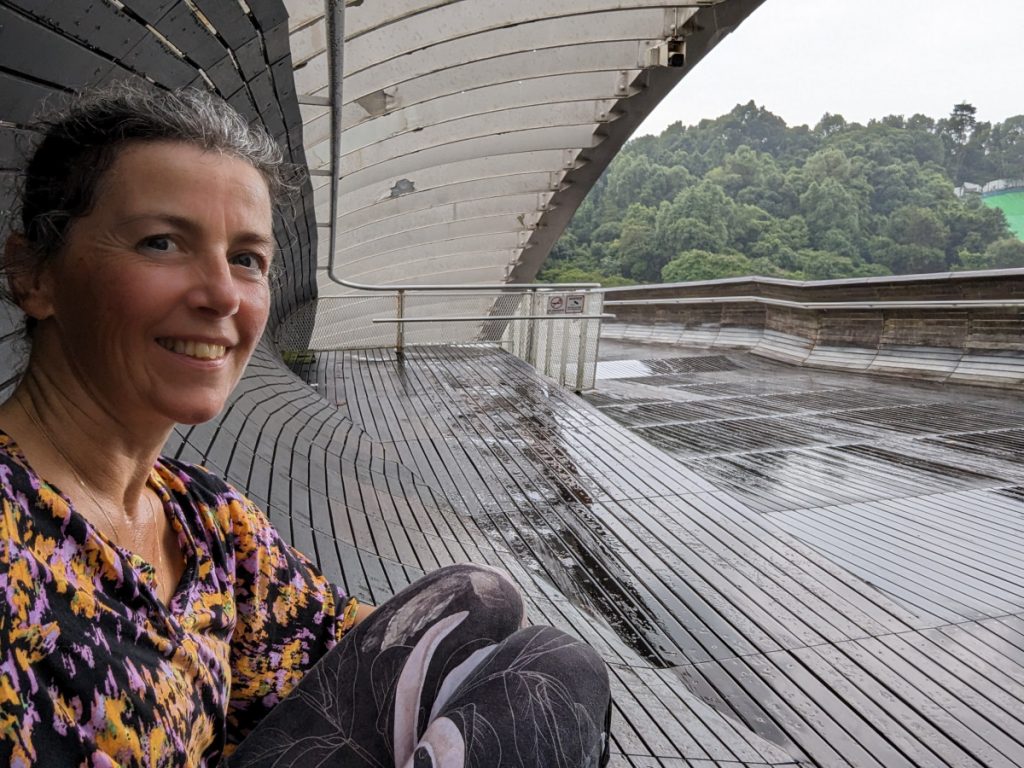 Henderson Waves - Wandelen in Singapore