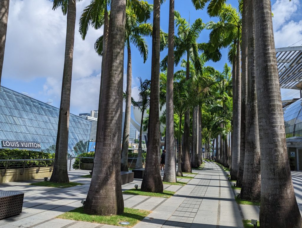 Palmbomen opgedragen aan Olympische teams - Marina Bay Sands - Wandelingen in Singapore Palmbomen opgedragen aan Olympische teams - Marina Bay Sands - Wandelingen in Singapore