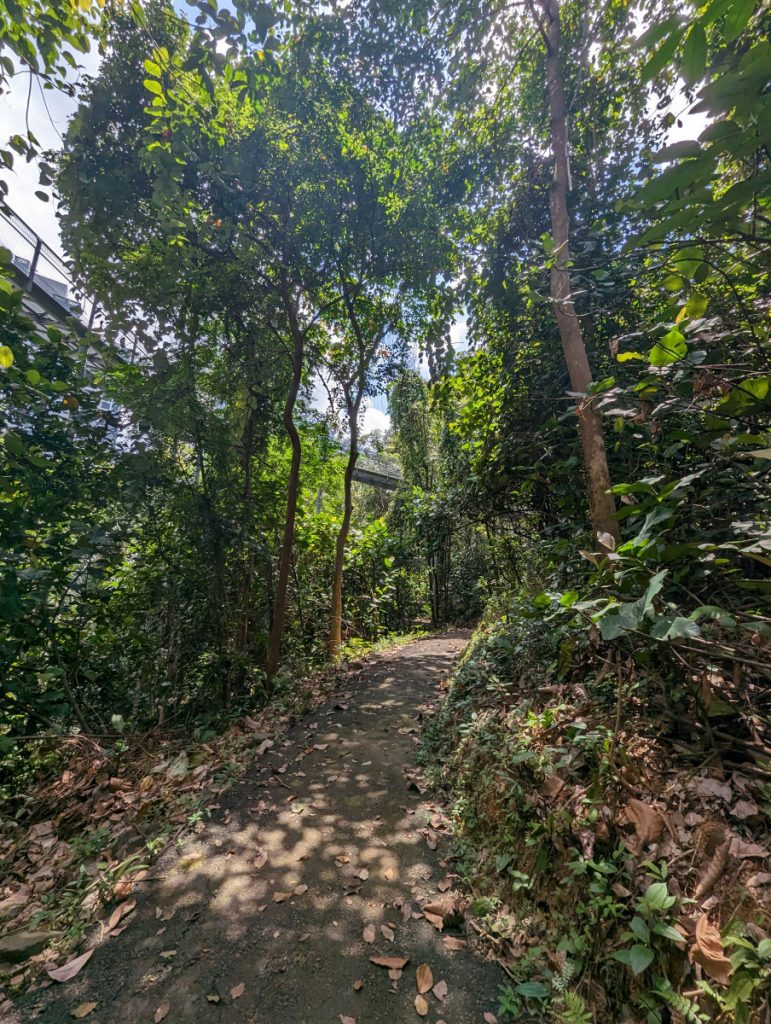 Earth Trail in Telok Blangah Hill Park - Wandelen in Singapore Earth Trail in Telok Blangah Hill Park - Wandelen in Singapore
