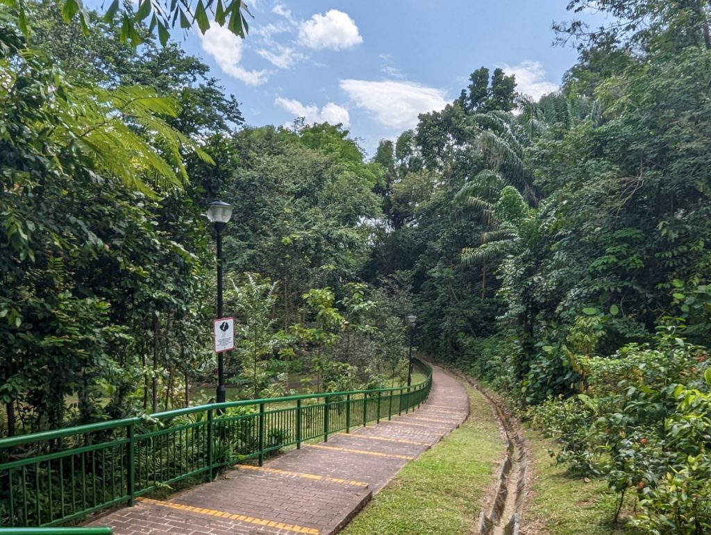 Southern Ridges - Wandelen in Singapore