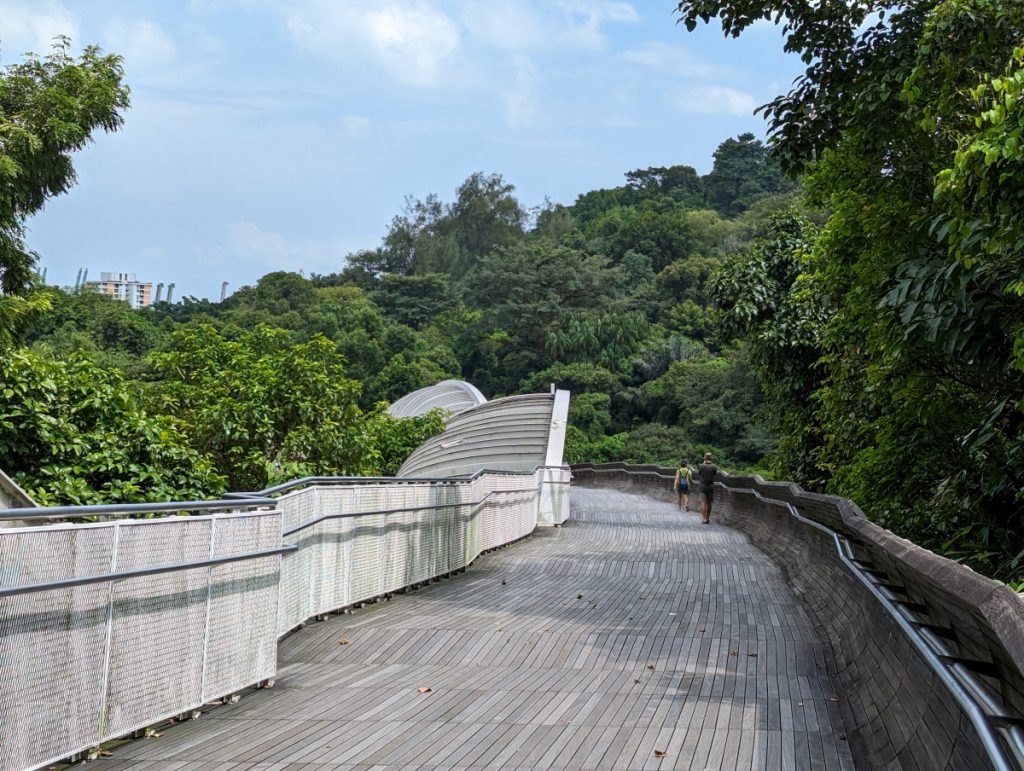 8 x verschillende wandelingen in Singapore - Henderson Waves 8 x verschillende wandelingen in Singapore - Henderson Waves