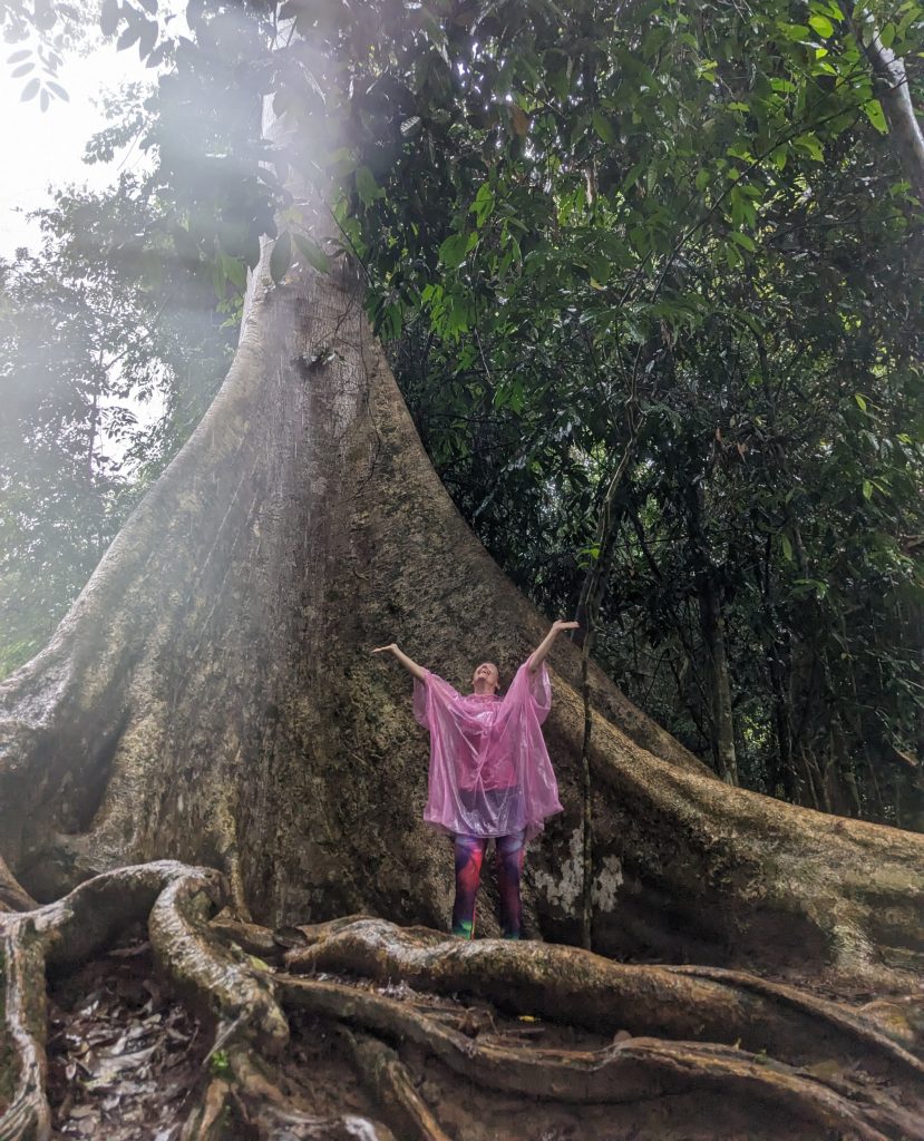 Bezoek het oudste regenwoud ter wereld de Taman Negara - Wandelen in het regenwoud Taman Negara, Maleisië