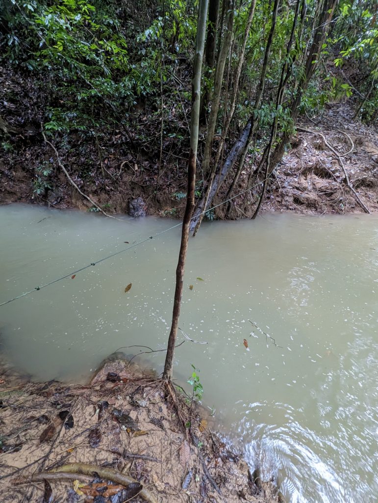 Bezoek het oudste regenwoud ter wereld de Taman Negara - Wandelen in het regenwoud Taman Negara, Maleisië Bezoek het oudste regenwoud ter wereld de Taman Negara - Wandelen in het regenwoud Taman Negara, Maleisië