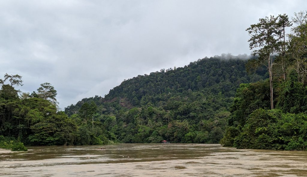 Wandelen in de Taman Negara