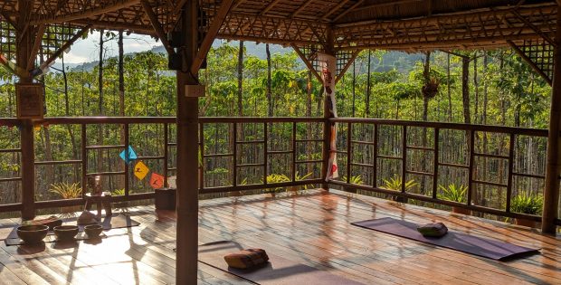 Yogales in Khao Sok NP - Thailand