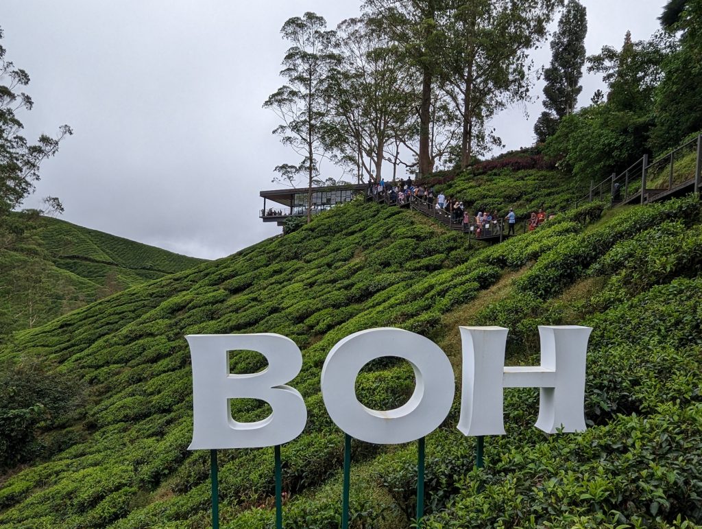 BOH Teaplantation Cameron Highlands - Tanah Rata, Maleisië BOH Teaplantation Cameron Highlands - Tanah Rata, Maleisië