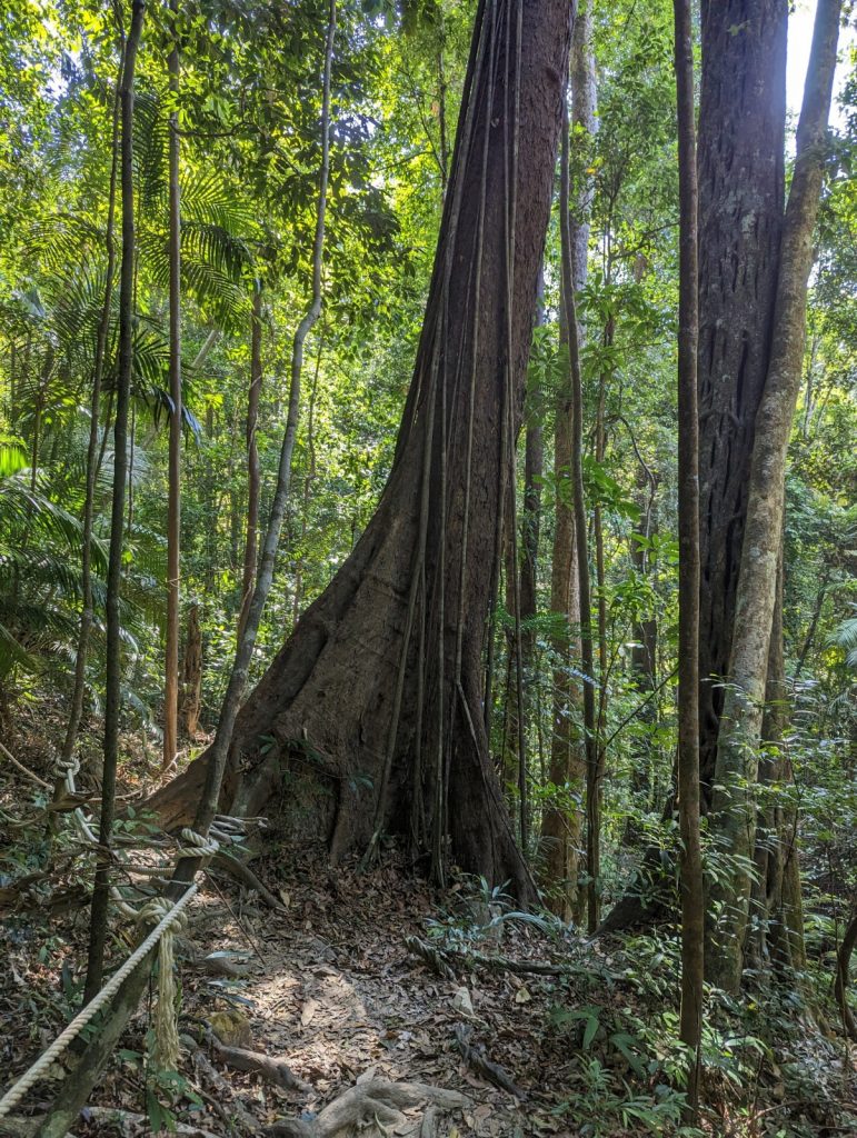 Zinvol Reizen op Gunung Machinchang Langkawi - 2x Geweldig Uitzicht - Hiken op Machinchang Trail of de kabelbaan naar Skybrigde Langkawi