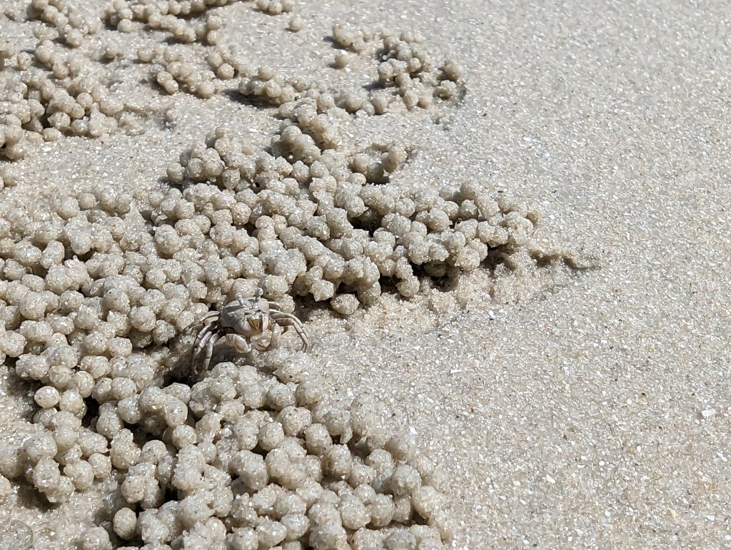 Wandelen op het strand van Koh Mook - Thailand