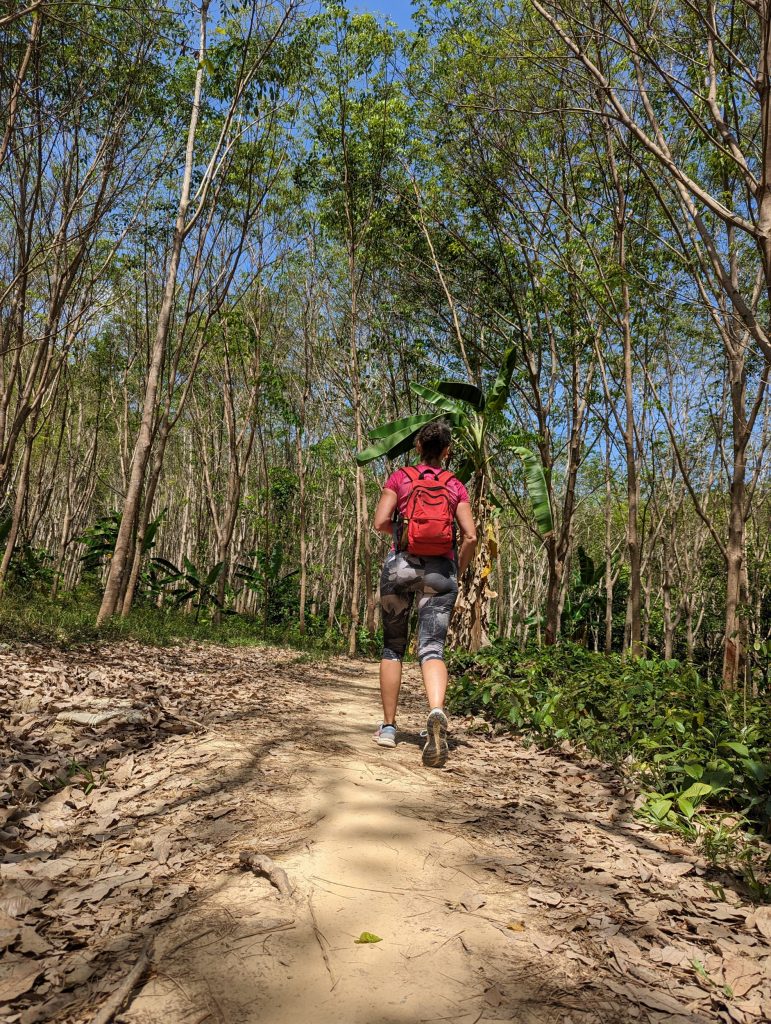 Wandelen op Koh Mook - Rubberplantage Koh Mook, Thailand