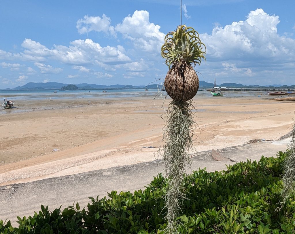 Door het lokale dorp wandelen op Koh Mook - Thailand