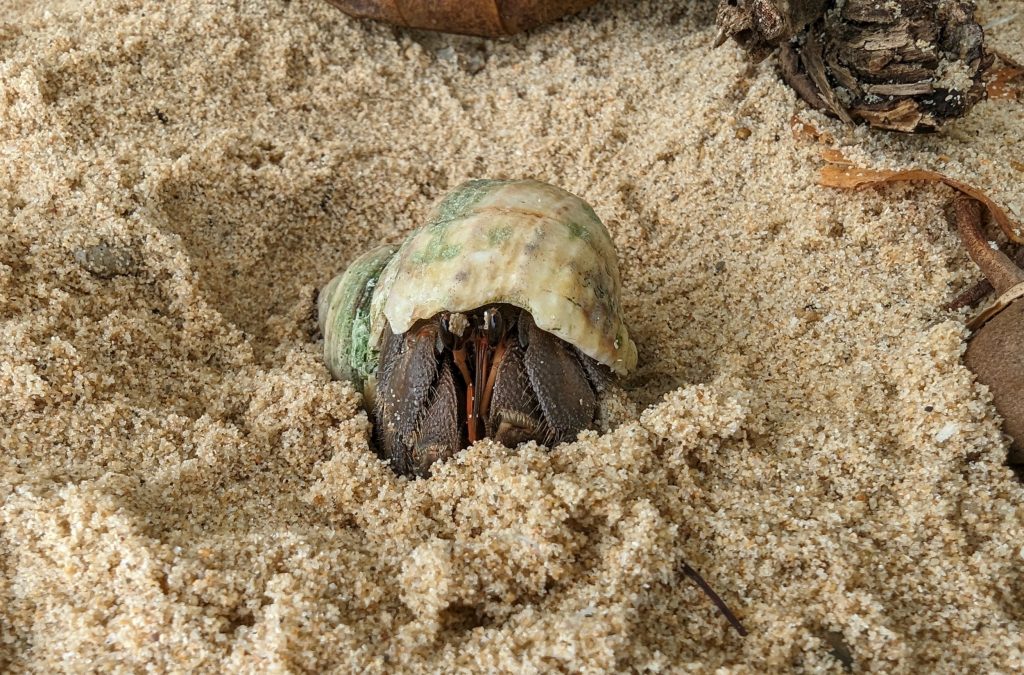 Het Ao Lo Dung Beach - Koh Mook - Thailand Het Ao Lo Dung Beach - Koh Mook - Thailand