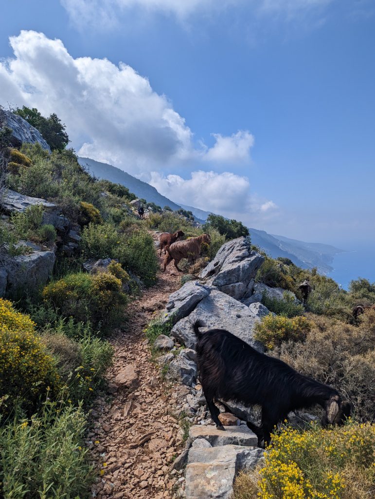 Wandelen langs de Lycische Kust in Turkije - Lycian Way - Zinvol Reizen Wandelen langs de Lycische Kust in Turkije - Lycian Way - Zinvol Reizen