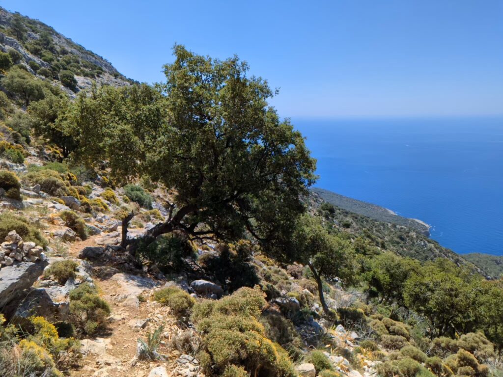 Wandelen in Turkije - De Lycian Way etappe 2 en 3 - Zinvol Reizen Wandelen in Turkije - De Lycian Way etappe 2 en 3 - Zinvol Reizen