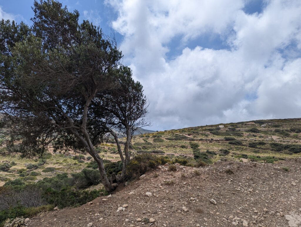 Wandelen op Karpathos - Griekenland Wandelen op Karpathos - Griekenland