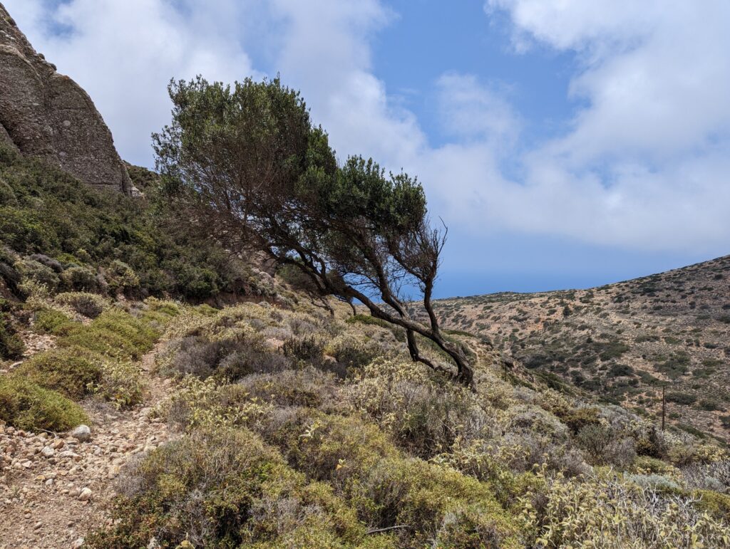 Wandelen op Karpathos - De wind komt altijd van zee Wandelen op Karpathos - De wind komt altijd van zee