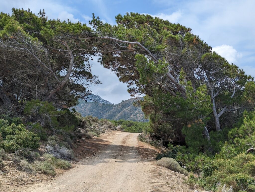 Avontuurlijk wandelen en hiken op Karpathos - Wandeldag 2 Avontuurlijk wandelen en hiken op Karpathos - Wandeldag 2