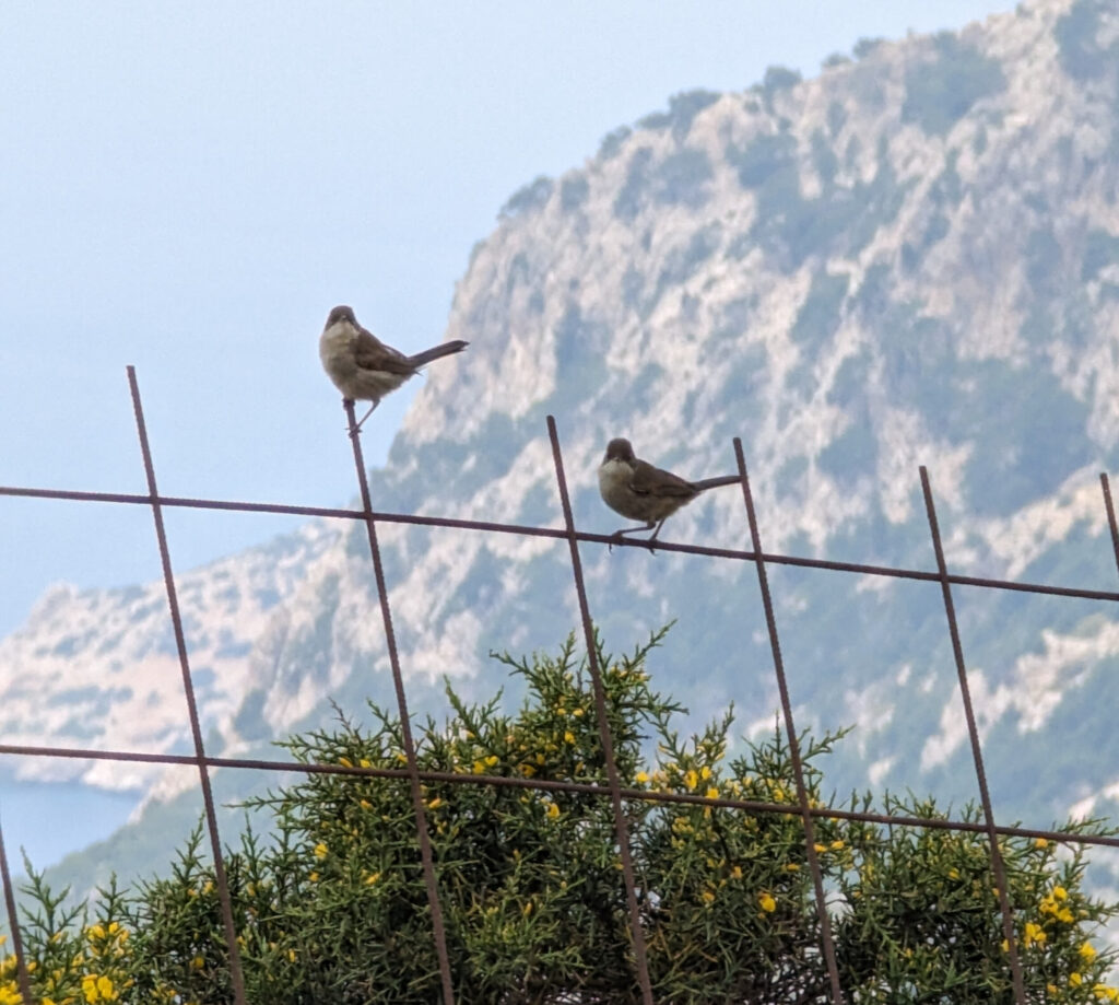 Wandelpaden op Karpathos - Pyles - Griekenland Wandelpaden op Karpathos - Pyles - Griekenland