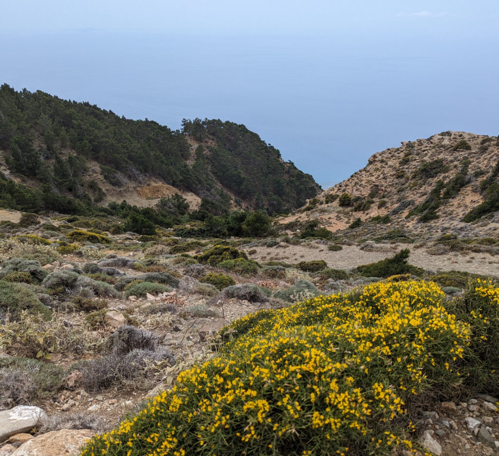Wandelen op Karpathos - Dag 2 Pyles naar Adia Wandelen op Karpathos - Dag 2 Pyles naar Adia