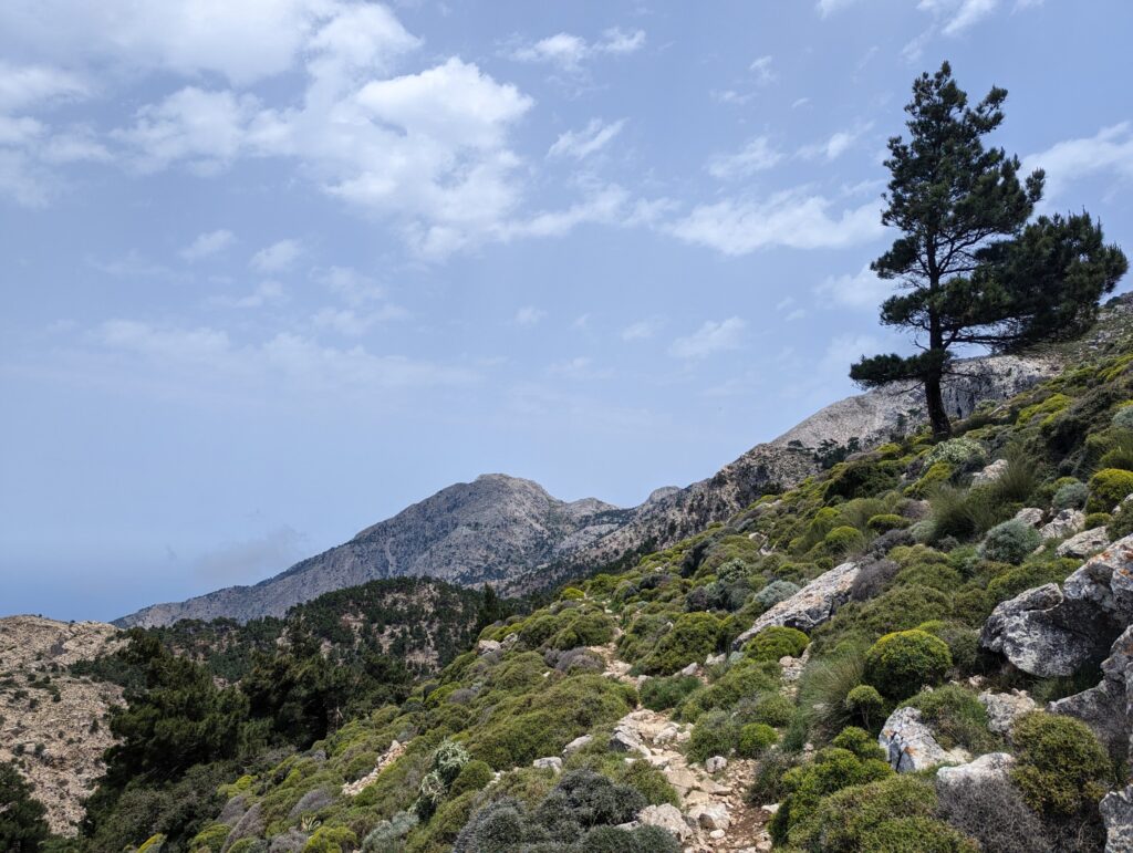 Avontuurlijk wandelen op Karpathos - Griekenland - Dag 3 Stroumboulas naar Lefkos Beach Avontuurlijk wandelen op Karpathos - Griekenland - Dag 3 Stroumboulas naar Lefkos Beach