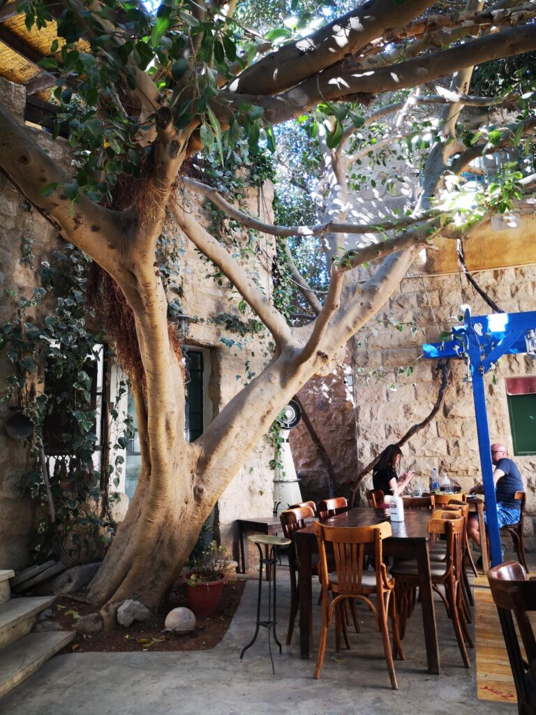 Binnenterras Haret Jdoudna - Wat te doen in Madaba Binnenterras Haret Jdoudna - Wat te doen in Madaba