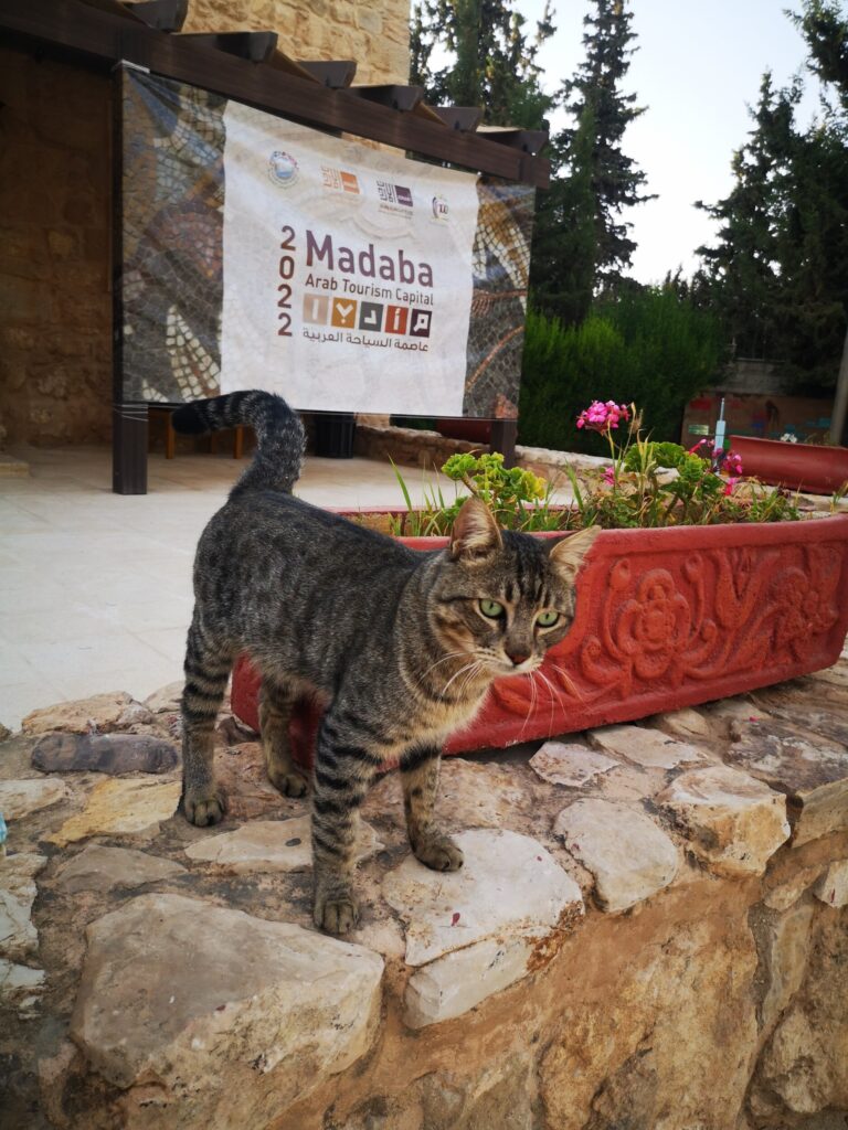 Wat te doen in Madaba - Jordanië Wat te doen in Madaba - Jordanië