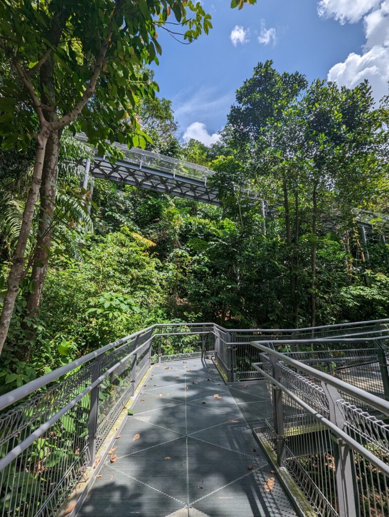 The Southern Rigdes - Telok Blangah Hill Park - Mount Faber Park - Reisgids Singapore The Southern Rigdes - Telok Blangah Hill Park - Mount Faber Park - Reisgids Singapore