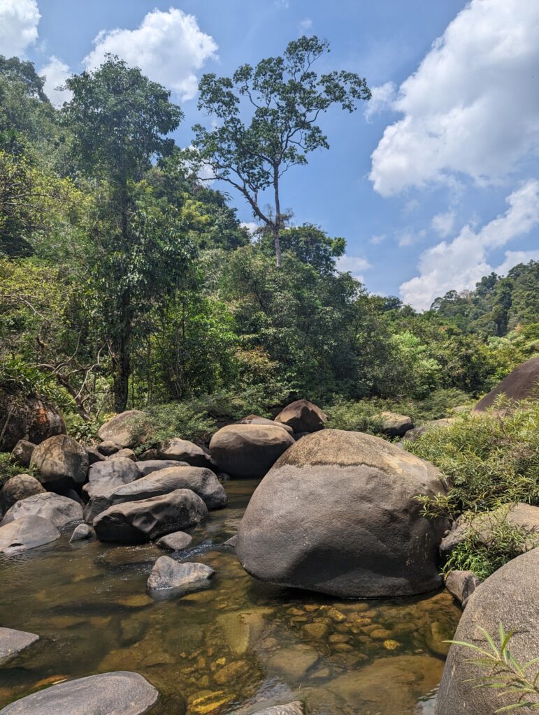Wandelen in Khao Sok NP, Thailand