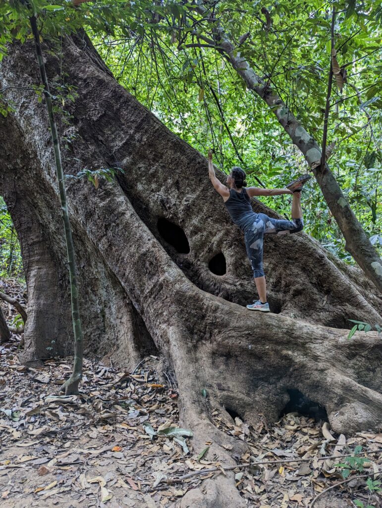 Wandeling in de jungle van Khao Sok NP - Thailand