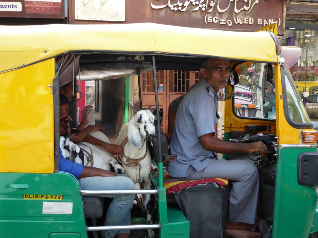 Veilig op Reis - In het drukke deel van Old Delhi - India