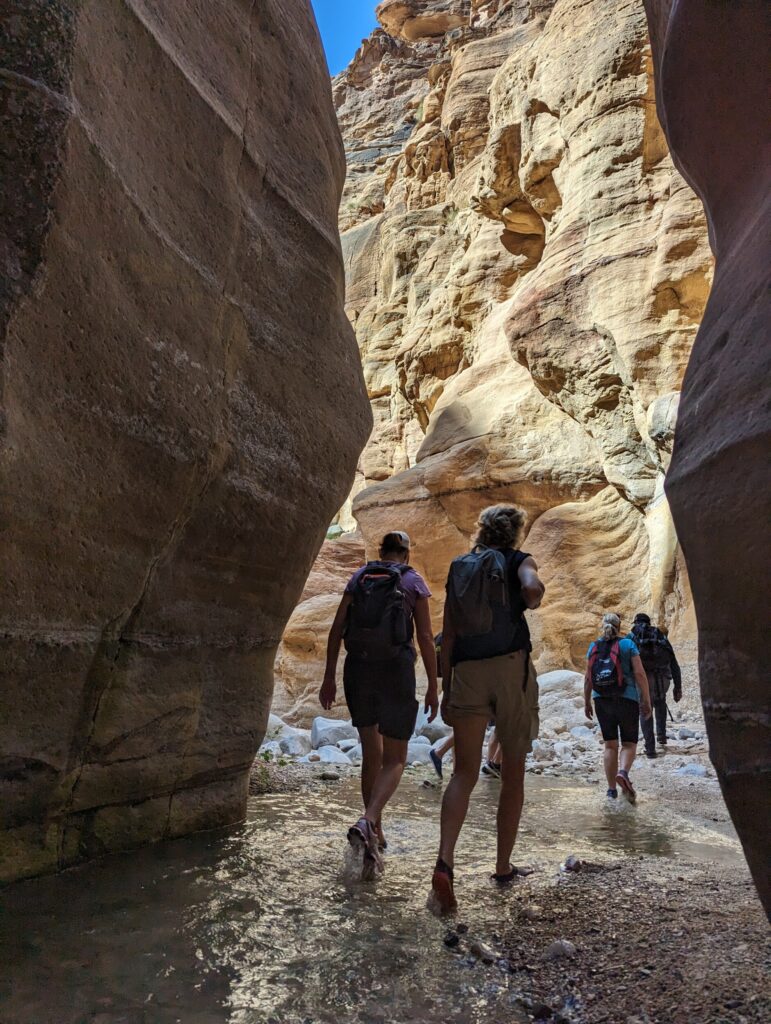 Wandelen in de Wadi Ghuweir, Jordanië - De wadi die als de mooiste wadi van Jordanië bekend staat Wandelen in de Wadi Ghuweir, Jordanië - De wadi die als de mooiste wadi van Jordanië bekend staat