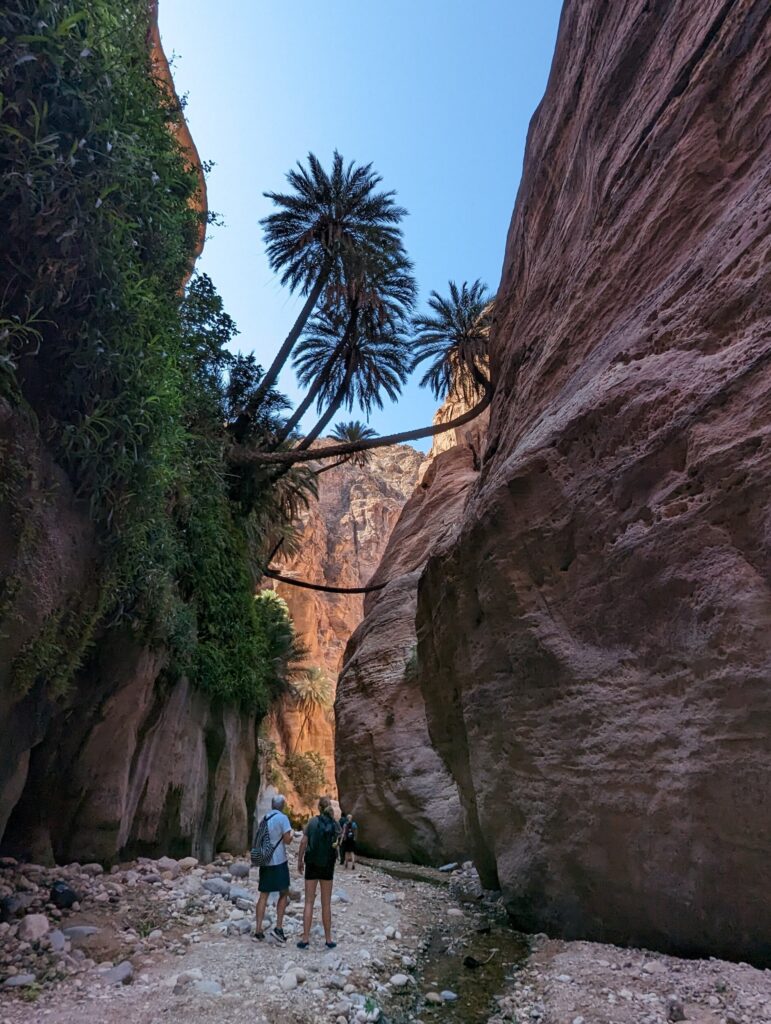 Wandelen in de Wadi Ghuweir, Jordanië - De wadi die als de mooiste wadi van Jordanië bekend staat Wandelen in de Wadi Ghuweir, Jordanië - De wadi die als de mooiste wadi van Jordanië bekend staat