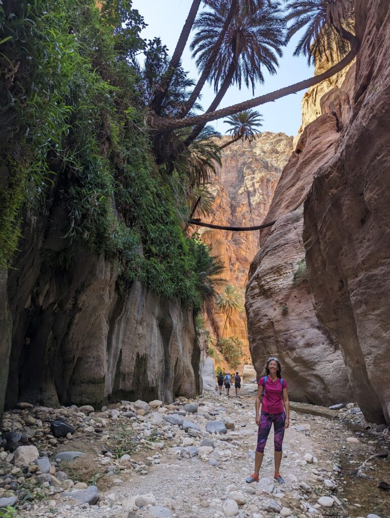 De palmbomen in de Wadi Ghuweir