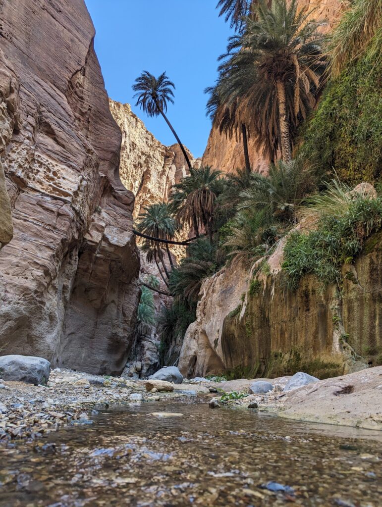 Wandelen in de Wadi Ghuweir, Jordanië - De wadi die als de mooiste wadi van Jordanië bekend staat Wandelen in de Wadi Ghuweir, Jordanië - De wadi die als de mooiste wadi van Jordanië bekend staat