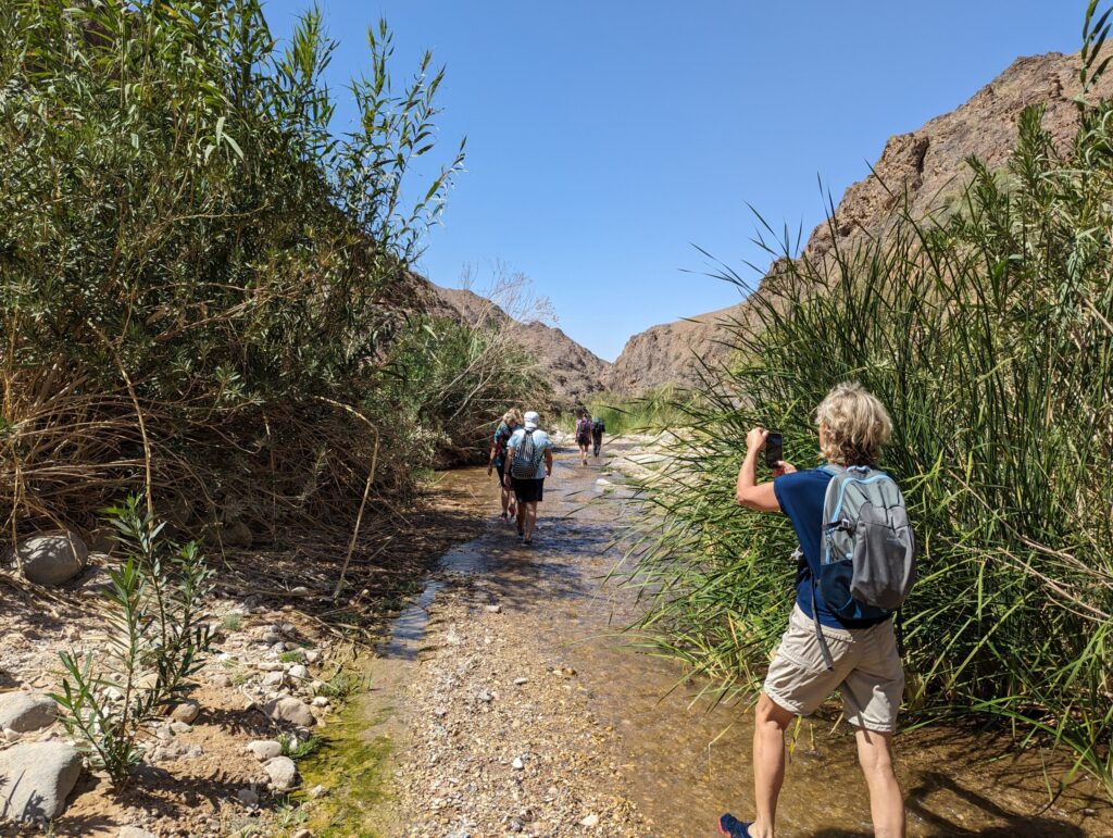 Wandelen in de Wadi Ghuweir, Jordanië - De wadi die als de mooiste wadi van Jordanië bekend staat Wandelen in de Wadi Ghuweir, Jordanië - De wadi die als de mooiste wadi van Jordanië bekend staat