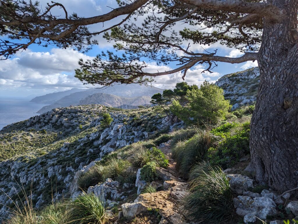 Wandelen op Mallorca - Prachtige uitzichten over de kust Wandelen op Mallorca - Prachtige uitzichten over de kust