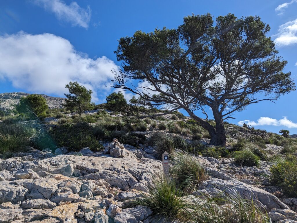 Etappe 3 op de GR221 - Wandelen op Mallorca - Spanje Etappe 3 op de GR221 - Wandelen op Mallorca - Spanje