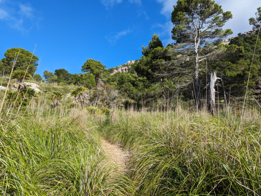 Etappe 3 op de GR221 - Wandelen op Mallorca - Spanje Etappe 3 op de GR221 - Wandelen op Mallorca - Spanje
